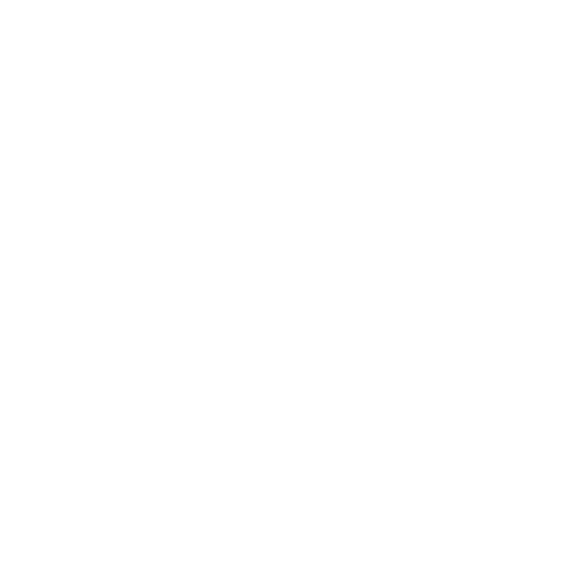 logo-blanco-cide